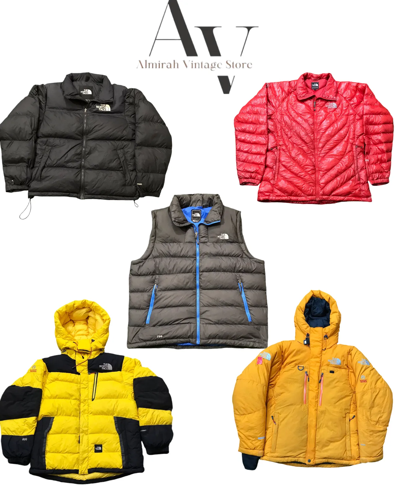 The North face puffer 700,800