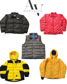 The North face puffer 700,800