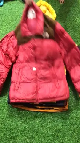 The North face puffer 700,800
